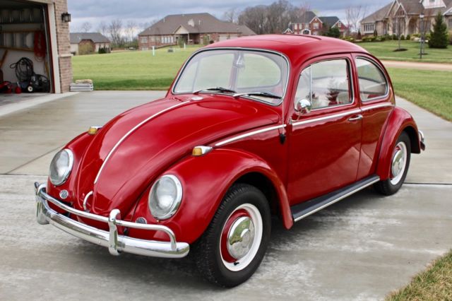 1966 Volkswagon VW Beetle w/ Fresh Engine Rebuild 1966 Volkswagen Beetle - Classic