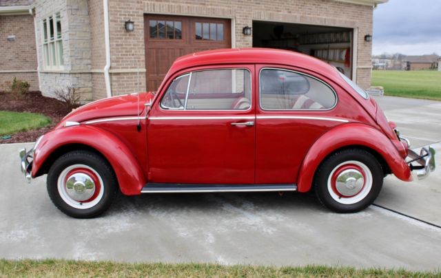 1966 Volkswagen Beetle - Classic - photo 7