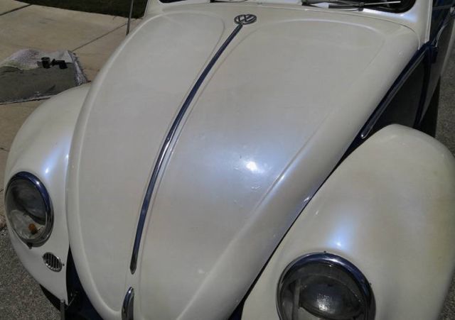 1966 Volkswagen Beetle - Classic - photo 6