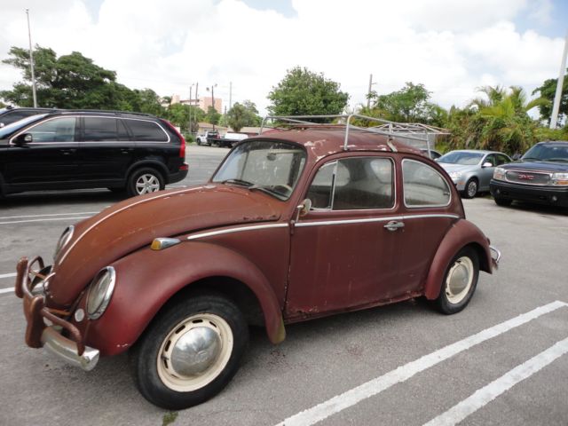 1966 Volkswagen Beetle - Classic - photo 2