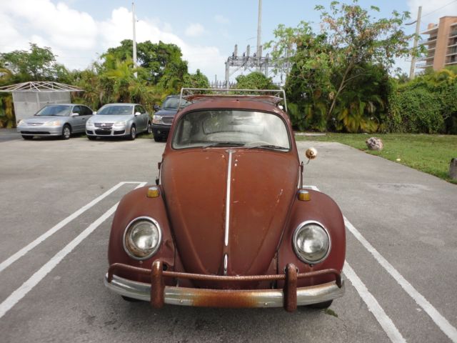 1966 Volkswagen Beetle - Classic - photo 3