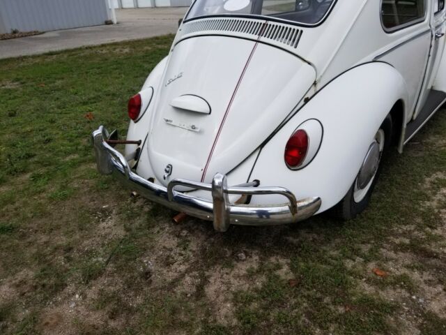 1966 Volkswagen Beetle - Classic - photo 2