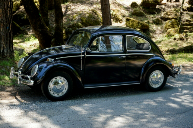 1966 vw beetle classic ca black plate speedo reads 7095miles 1966 Volkswagen Beetle - Classic