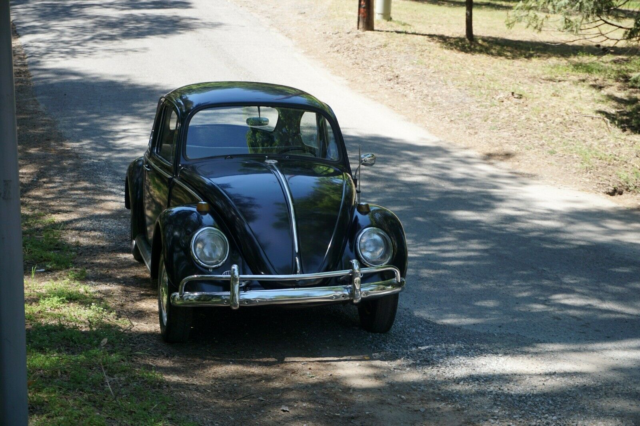 1966 Volkswagen Beetle - Classic - photo 3