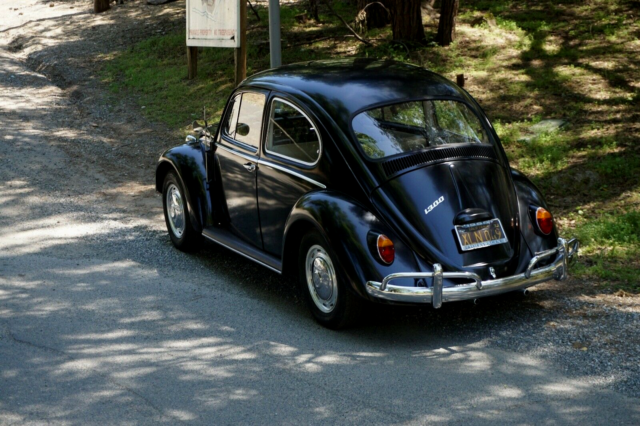 1966 Volkswagen Beetle - Classic - photo 4