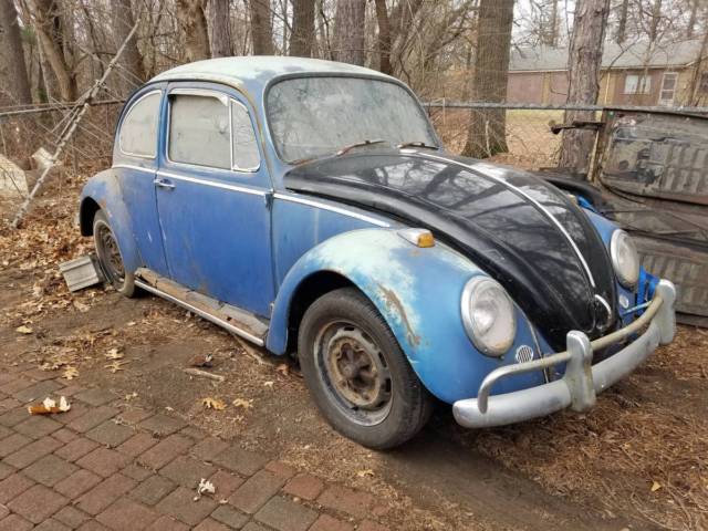 1966 VW Beetle Project 1966 Volkswagen Beetle - Classic