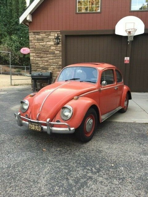 1966 Volkswagen Beetle - Classic - photo 13