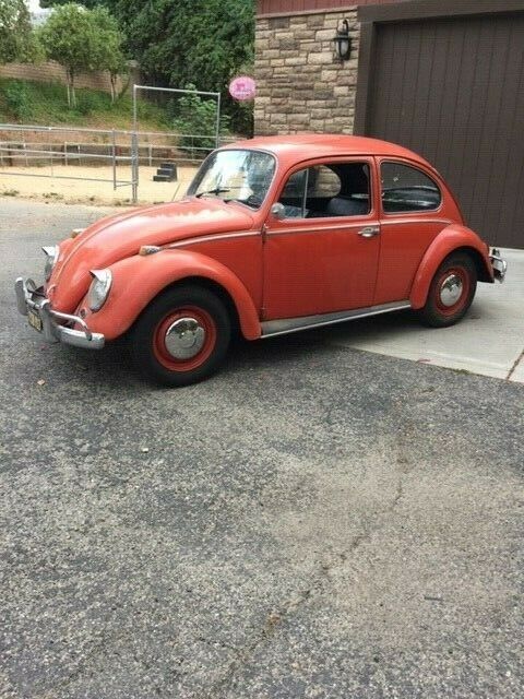 1966 Volkswagen Beetle - Classic - photo 5