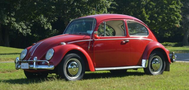 1966 Volkswagen Beetle - Classic