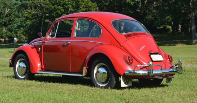 1966 Volkswagen Beetle - Classic - photo 2