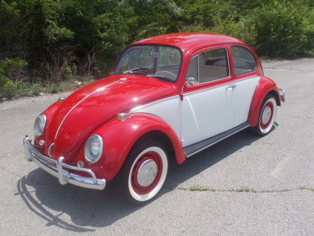 1966 VW BEETLE TOTAL RESTORATION LOOKS LIKE IT JUST ROLLED OF THE ASSEMBLY LINE 1966 Volkswagen Beetle - Classic RED / WHITE