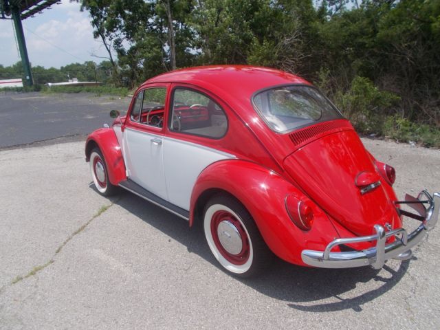 1966 Volkswagen Beetle - Classic RED / WHITE - photo 10