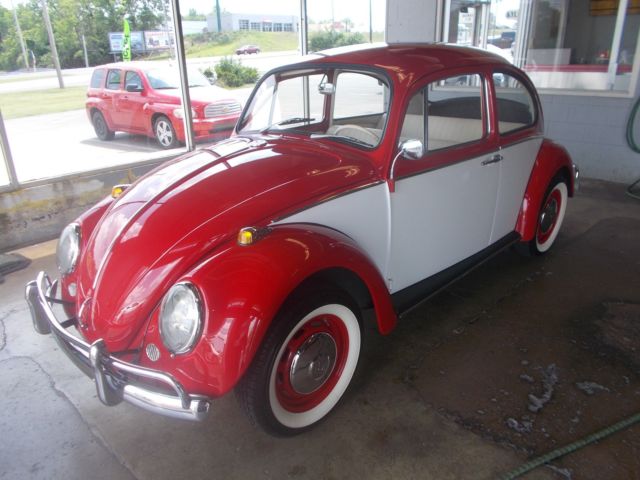 1966 Volkswagen Beetle - Classic RED / WHITE - photo 12
