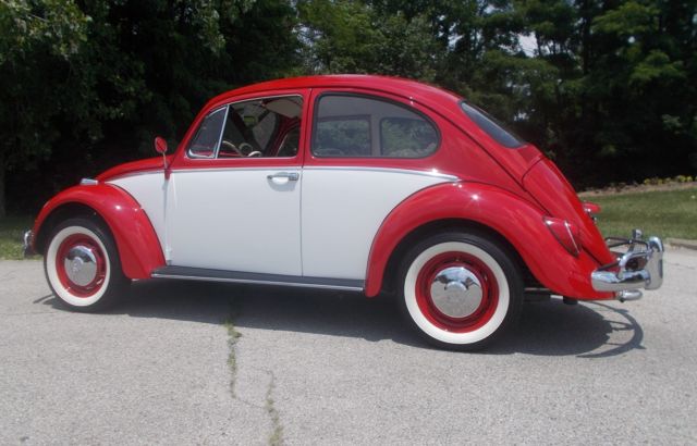 1966 Volkswagen Beetle - Classic RED / WHITE - photo 2