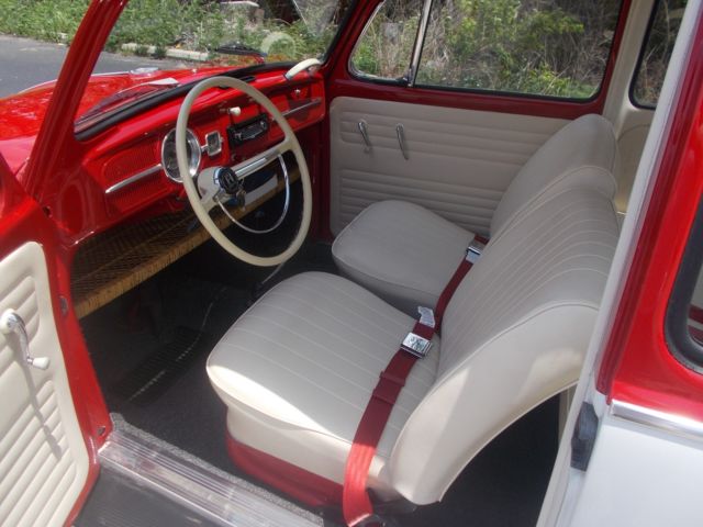 1966 Volkswagen Beetle - Classic RED / WHITE - photo 3