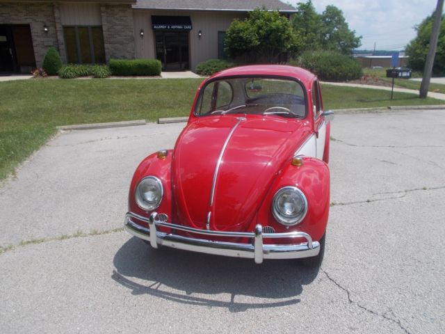 1966 Volkswagen Beetle - Classic RED / WHITE - photo 8