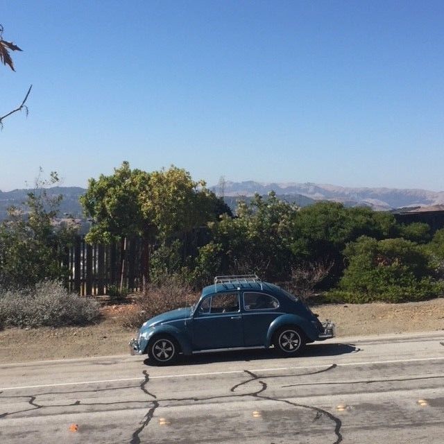 1966 Volkswagen Beetle - Classic - photo 11