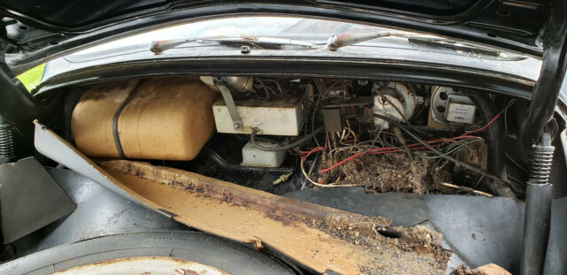 1966 Volkswagen Beetle - Classic - photo 2