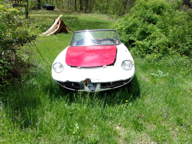 1967 Alfa Romeo Spider