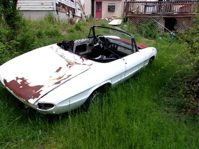 1967 Alfa Romeo Spider - photo 8