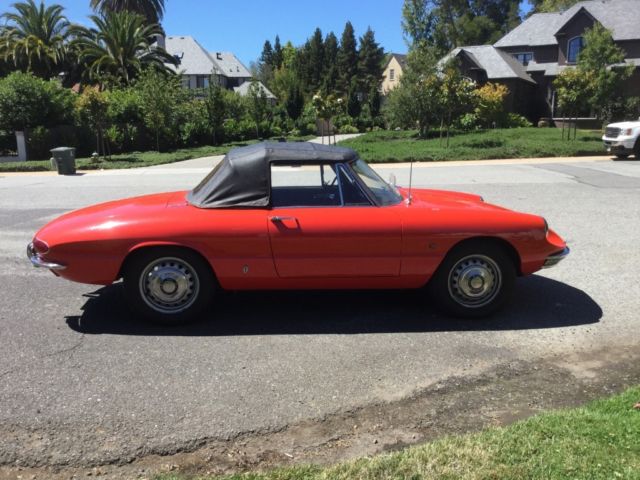 1967 Alfa Romeo 1600 Duetto - photo 7