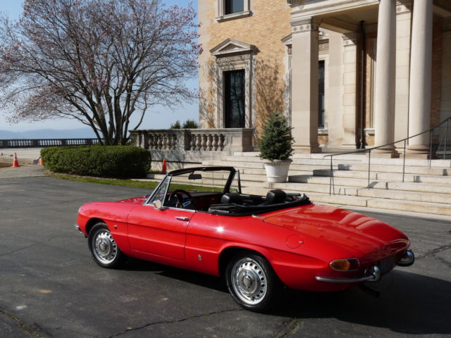 1967 Alfa Romeo Spider