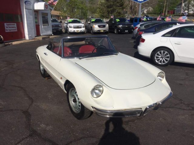 1967 Alfa Romeo Spider Duetto Spider - photo 4