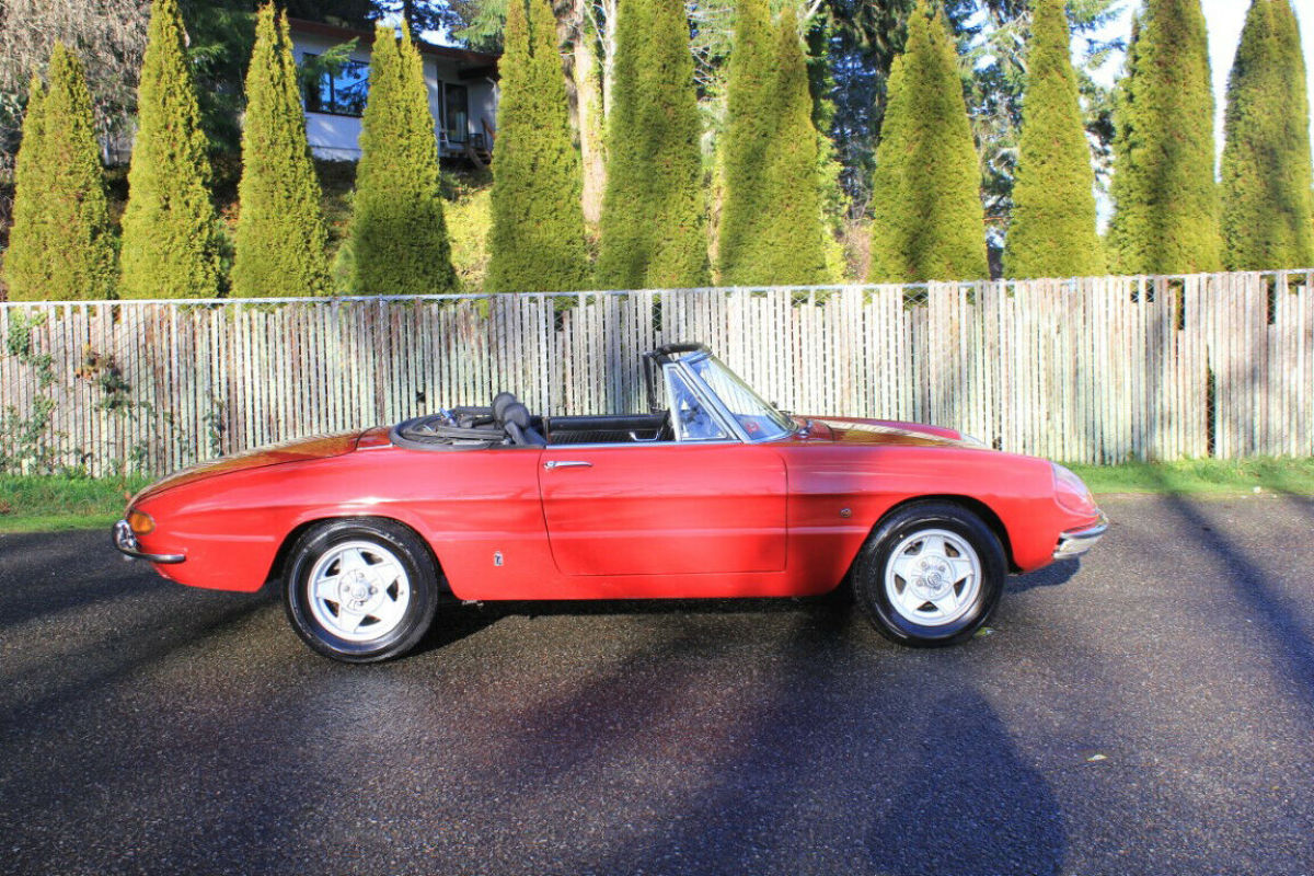 1967 Alfa Romeo Other - photo 5