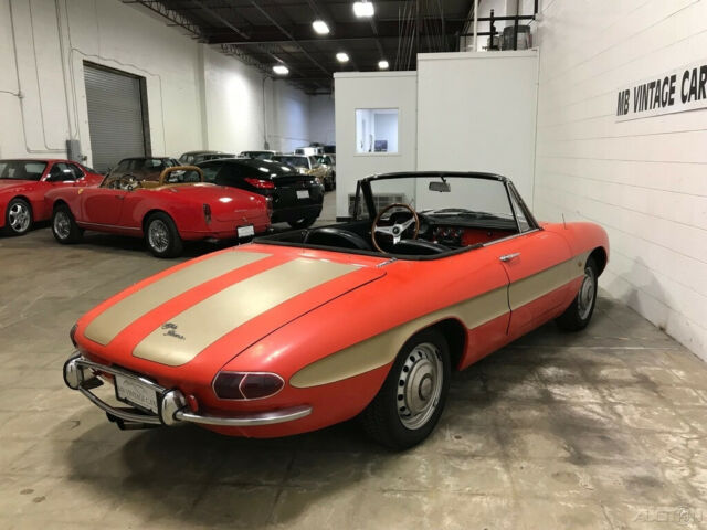 1967 Alfa Romeo Duetto Spider NO RESERVE!! 1967 Alfa Romeo Spider Convertible