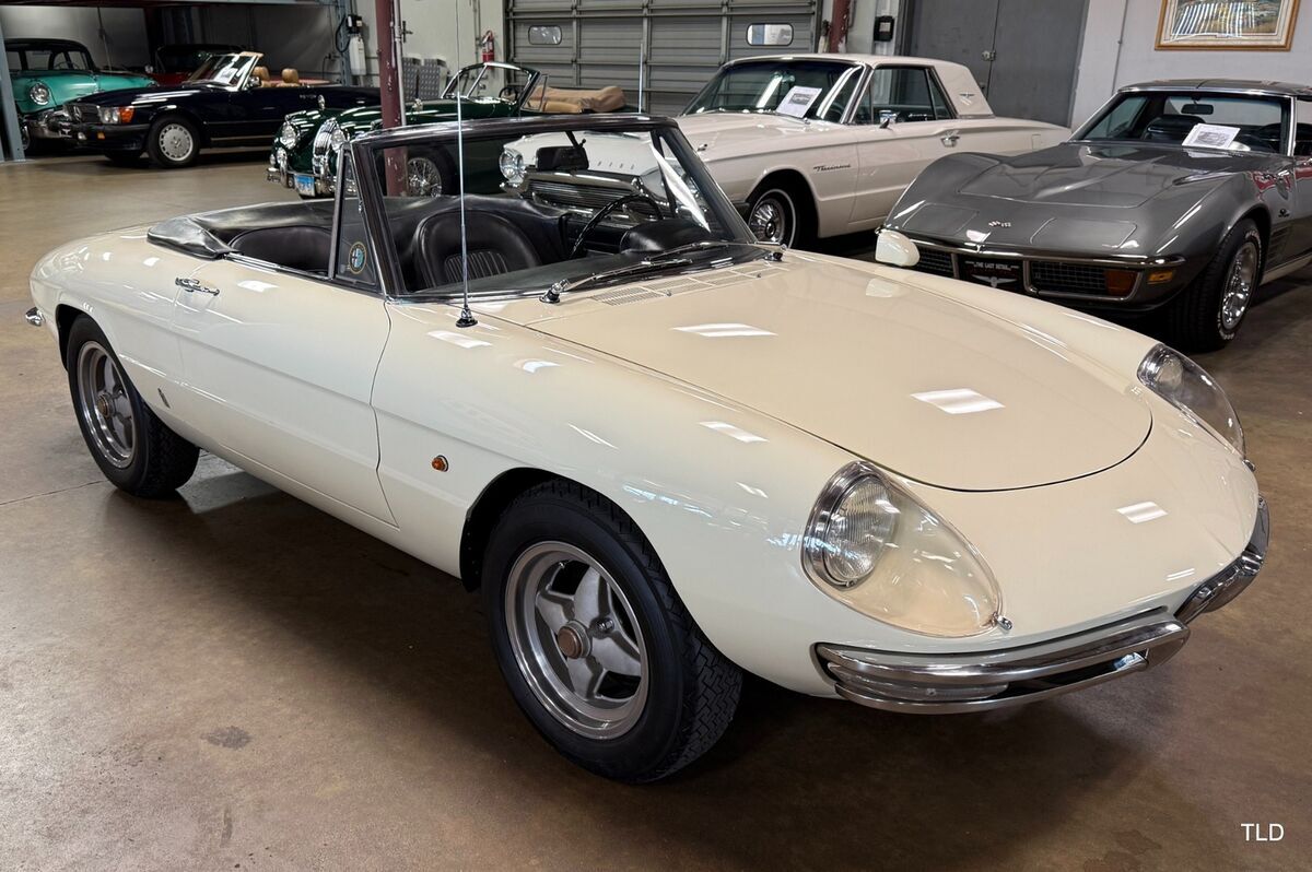 1967 Alfa Romeo Guiletta 1600 Spider Duetto - photo 13