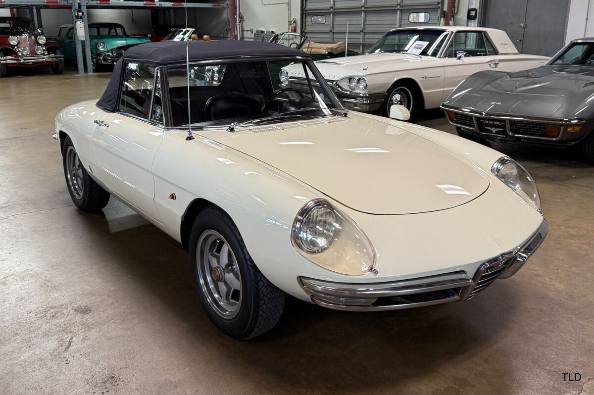 1967 Alfa Romeo Guiletta 1600 Spider Duetto - photo 5