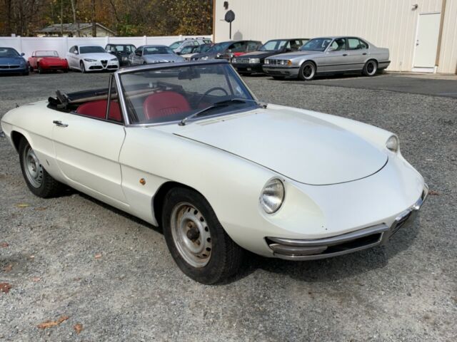 1967 Alfa Romeo Spider Duetto White Good Runner No Reserve 1967 Alfa Romeo Spider Duetto