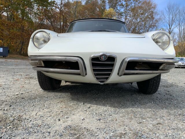 1967 Alfa Romeo Spider Duetto - photo 6