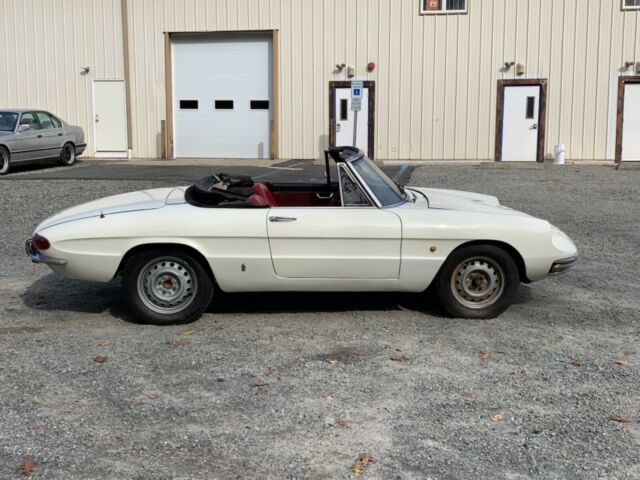 1967 Alfa Romeo Spider Duetto - photo 9