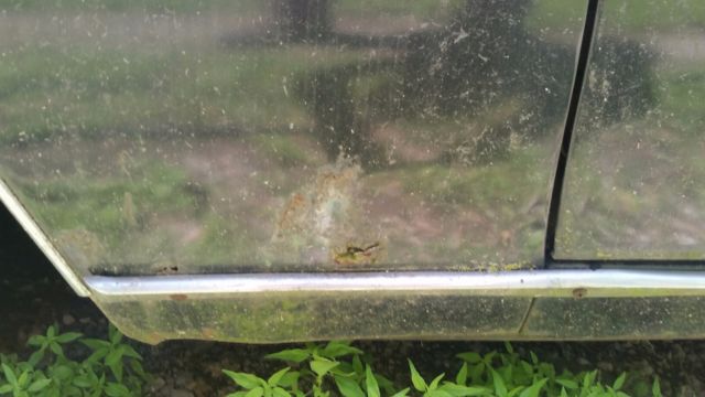 1967 Buick LeSabre - photo 9