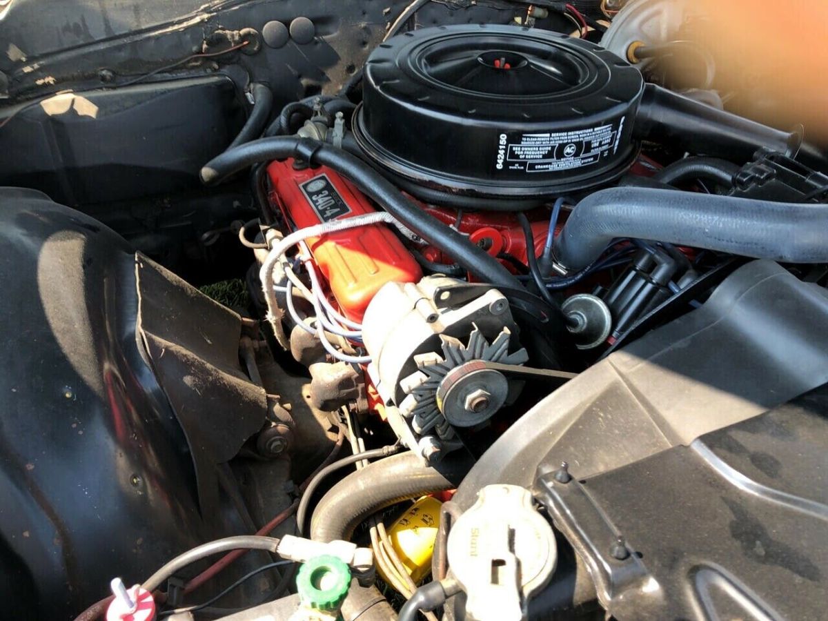 1967 Buick Skylark - photo 6