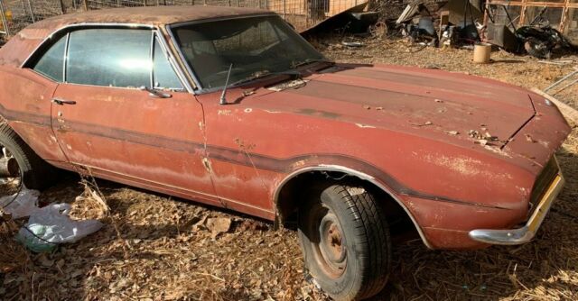 1967 camaro Standard, 1967 Chevrolet Camaro