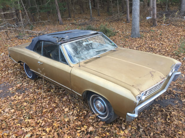 1967 Chevrolet Chevelle chevelle convertible - photo 12