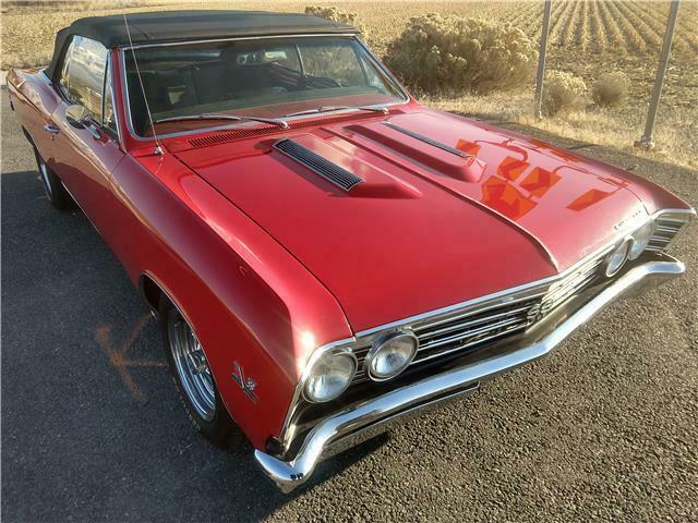 1967 Chevrolet Chevelle SS Tribute - photo 4