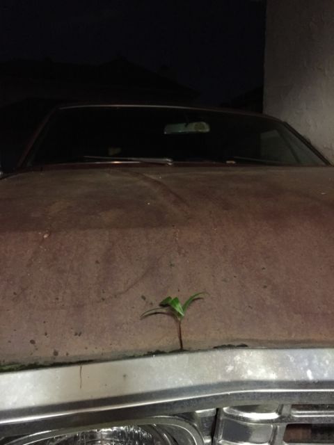 1967 Chevrolet Impala - photo 5