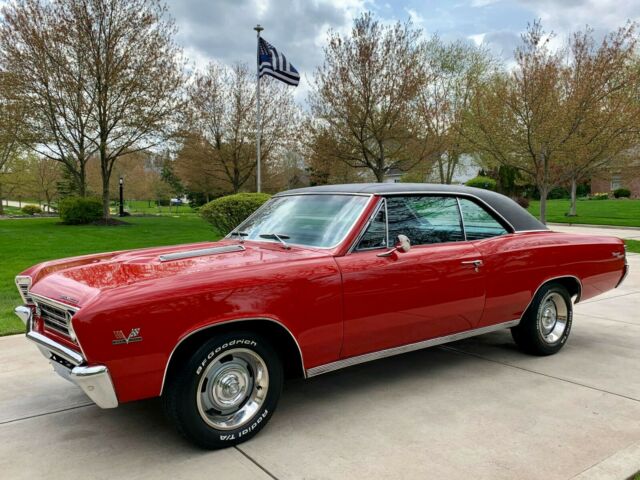 1967 Chevy Chevelle SS 396 / 4 Speed! All Muscle! Gorgeous Frame Off Resto! 1967 Chevrolet Chevelle SS