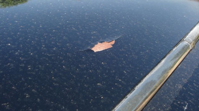 1967 Chrysler Newport - photo 6