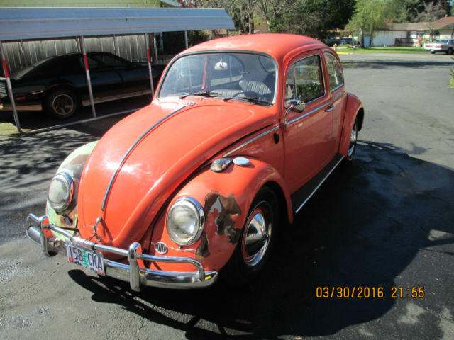 1967 Classic VW Beetle 1967 Volkswagen Beetle - Classic