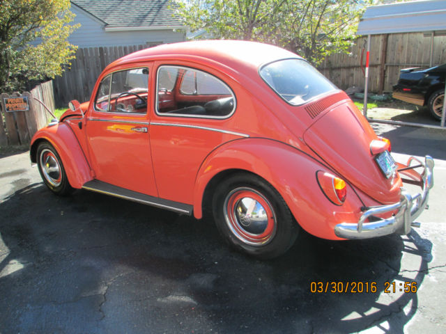 1967 Volkswagen Beetle - Classic - photo 2