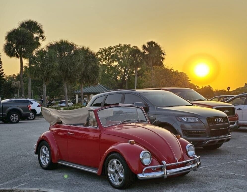 1967 Volkswagen Beetle - Classic - photo 3