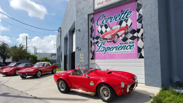 1967 Everett-Morrison Cobra 302 - Kit Built 2003 1967 Shelby
