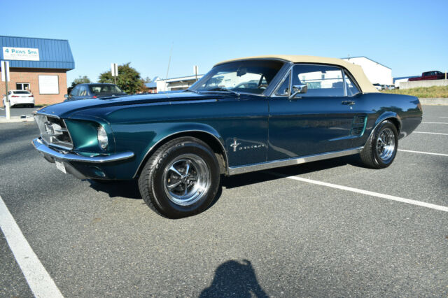 1967 FORD MUSTANG CONVERTIBLE #'S MATCH 289 / AUTO, MANY NEW PARTS EX. CO.-video 1967 Ford Mustang Convertible V-8