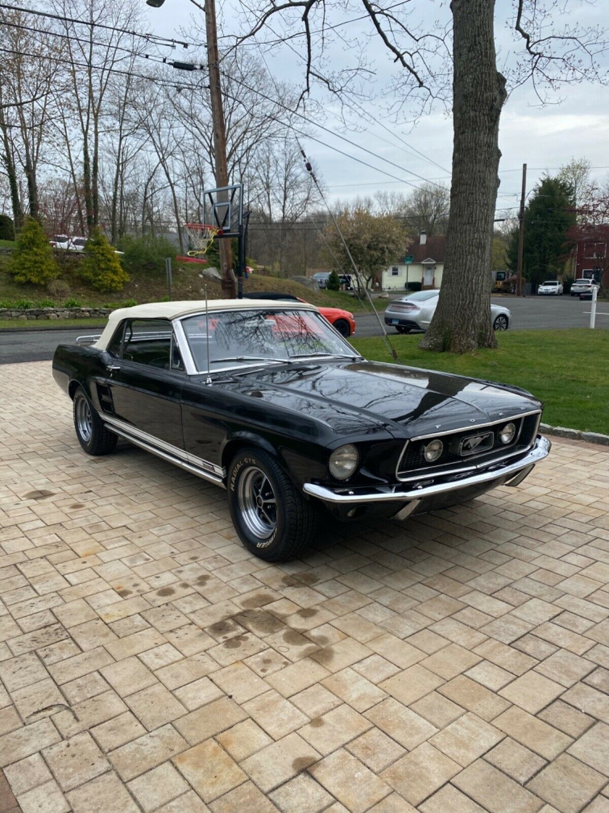 1967 Ford Mustang - photo 3
