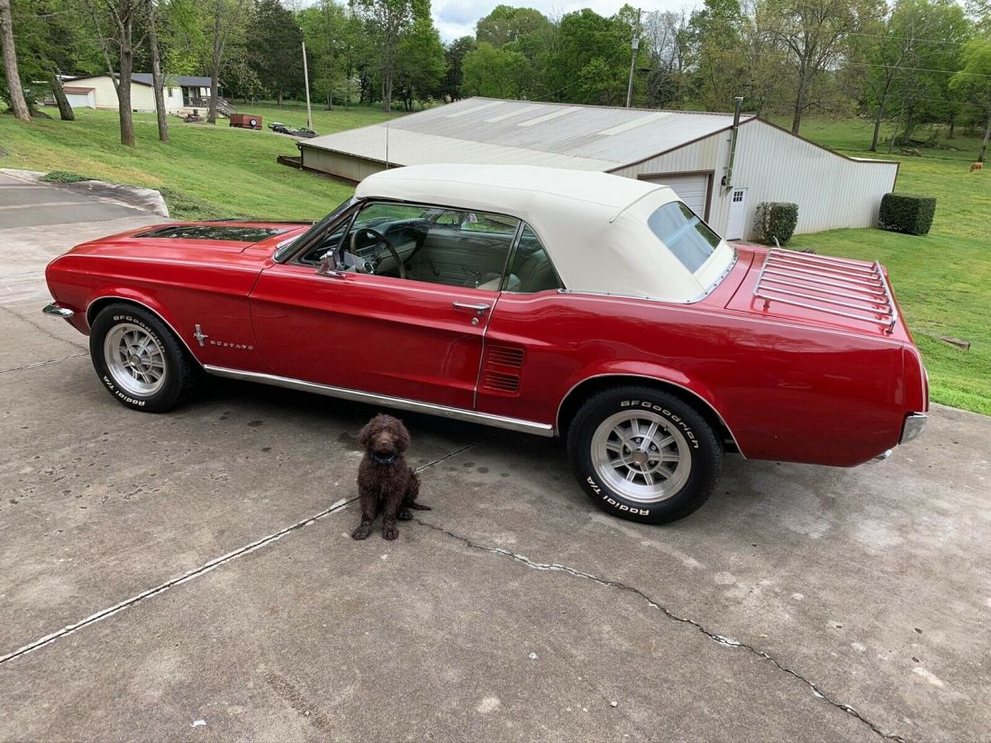1967 Ford Mustang - photo 5