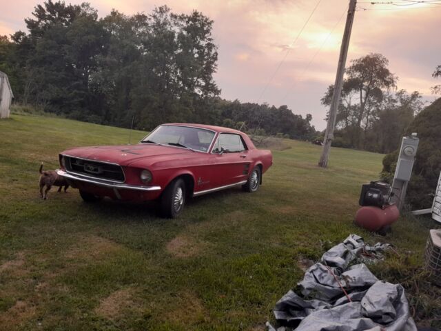 1967 Ford Mustang - photo 8